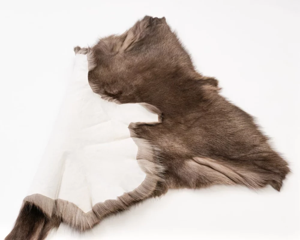 Reindeer Hide 3