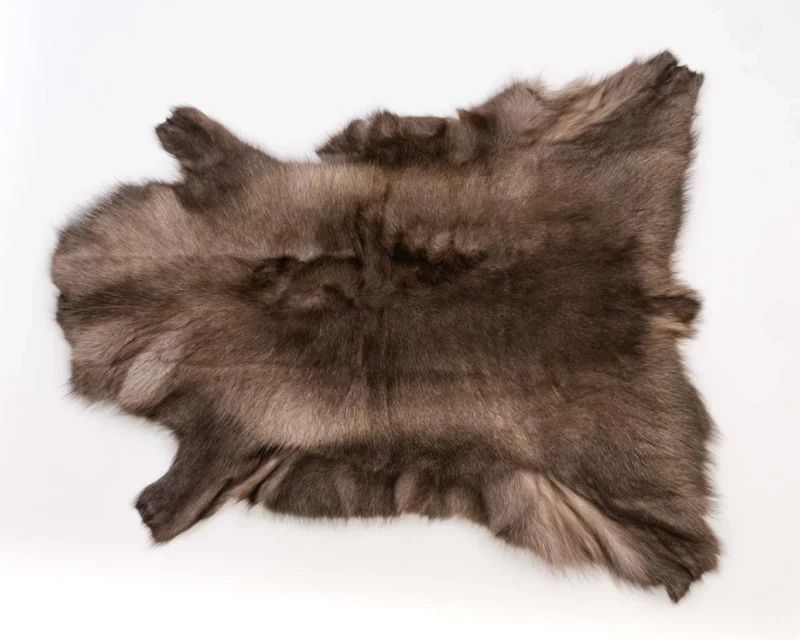 Reindeer Hide