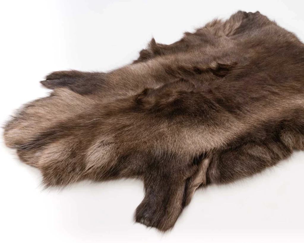 reindeer hide